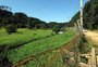 Publicação de edital de concessão da Floresta Nacional de Canela está prevista para maio