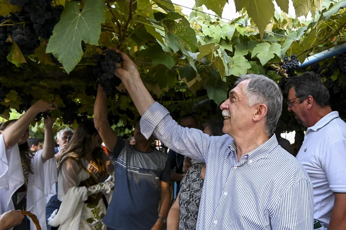 Ricardo Rech / Prefeitura de Caxias do Sul / Divulgação