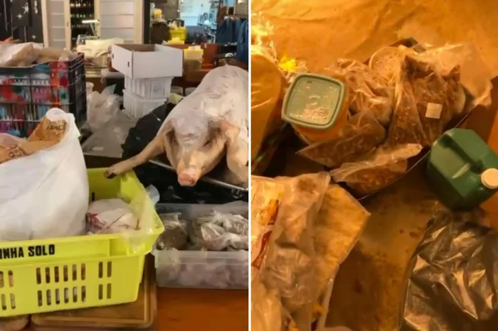 Arquivo pessoal / Reprodução Arquivo pessoal / Reprodução