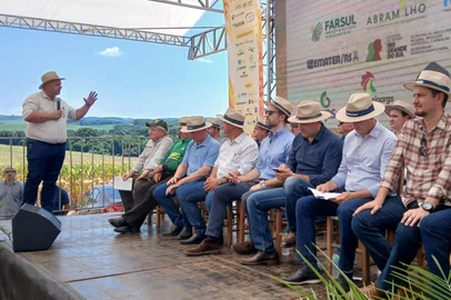 Abertura da colheita do milho em Paulo Bento <!-- NICAID(15959807) -->