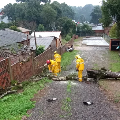 Canela tem casas invadidas por água, queda de árvores e aula cancelada em escola por conta de chuvarada<!-- NICAID(15458359) -->