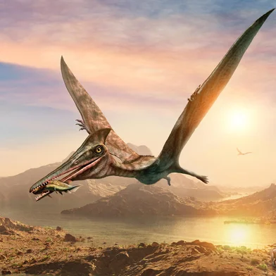 Pterossauro. Foto: warpaintcobra / stock.adobe.comFonte: 214755499<!-- NICAID(15108696) -->