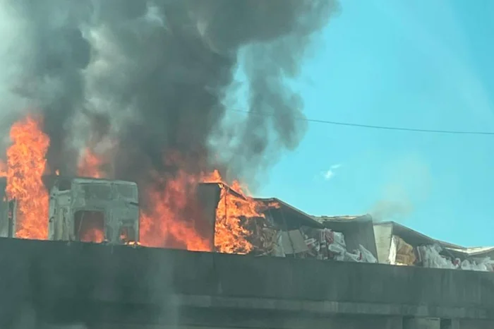 Kamila Pinheiro / Arquivo Pessoal