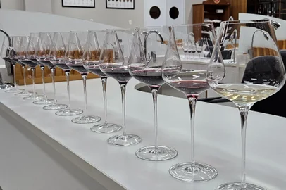 Amostras de vinhos da Região Altos Montes, em Flores da Cunha, são avaliadas para receber Indicação de Procedência. <!-- NICAID(15928167) -->
