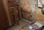 Serpente venenosa é encontrada dentro de casa em o Fundo; assista ao resgate