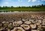 Como o produtor do RS pode reduzir possíveis impactos do La Niña na safra de verão