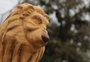Leão vai deixar de ser feio? Polêmica estátua de Porto Alegre está sendo repintada: "Ficará com o olhar mais bonito"