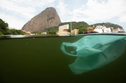 A poluição por plásticos já é reconhecida como uma crise global. Segundo a Organização das Nações Unidas (ONU), atrás apenas da emergência climática, ela é hoje a segunda maior ameaça ambiental ao planeta, com impactos devastadores sobre todos os ecossistemas, incluindo a biodiversidade marinha. No Brasil, esse cenário é alarmante, como revela o relatório Fragmentos da Destruição: impactos do plástico à biodiversidade marinha brasileira, que será lançado pela Oceana nesta quinta-feira (17/10), às 15h, em um debate online.<!-- NICAID(15893263) -->