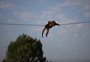 RS-040 terá travessias aéreas para evitar atropelamento de animais