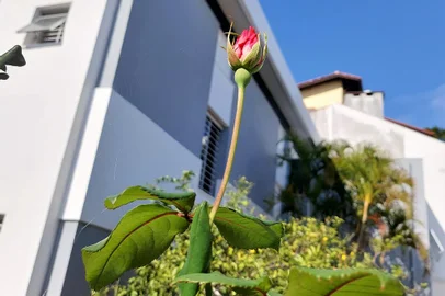 Casa-ateliê de Iberê Camargo, após reforma.<!-- NICAID(15455205) -->