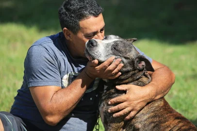PORTO ALEGRE,RS,BRASIL.2023,03,2023.Jorge que tem uma empresa de reciclagem, acabou salvando morte o Tigrão, o cachorro foi entregue para ele com grave ferimento, na cabeça , que foi agredido pelo seu ex dono, e disse para o Jorge  pagaria quinhetos reais, para que Jorge finalizasse a morte, mas Jorge não aceitou e acabpou salvando o Pitibull.(RONALDO BERNARDI/AGENCIA RBE).<!-- NICAID(15371666) -->