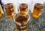 Efeitos da redução do percentual de biodiesel vão além de números