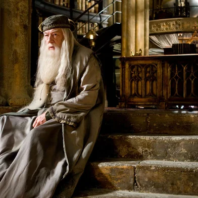 Michael Gambon em Harry Potter e o Enigma do Príncipe. <!-- NICAID(15553925) -->