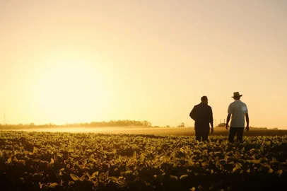 Empresa gaúcha 3Tentos, de Santa Bárbara, estreia no Novo Mercado da B3<!-- NICAID(14833541) -->