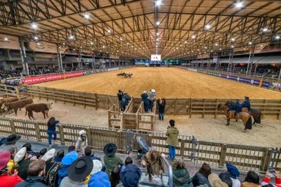 Freio de ouro na arena coberta do cavalo crioulo<!-- NICAID(15735639) -->