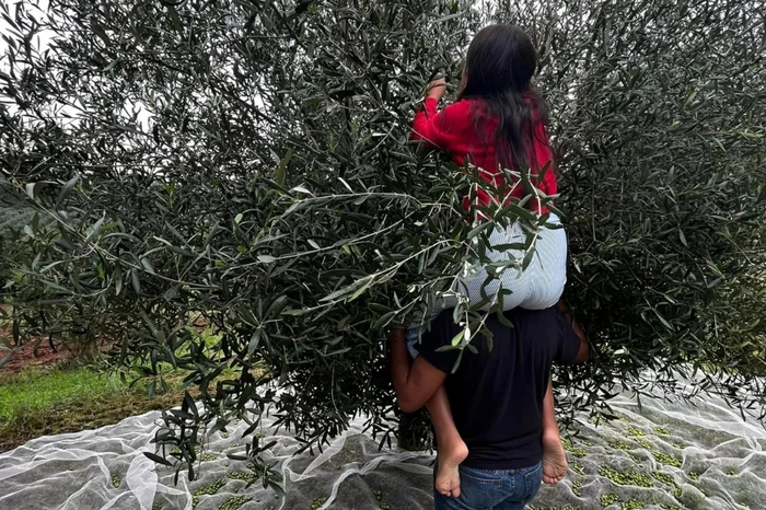 Giane Guerra / Grupo RBS