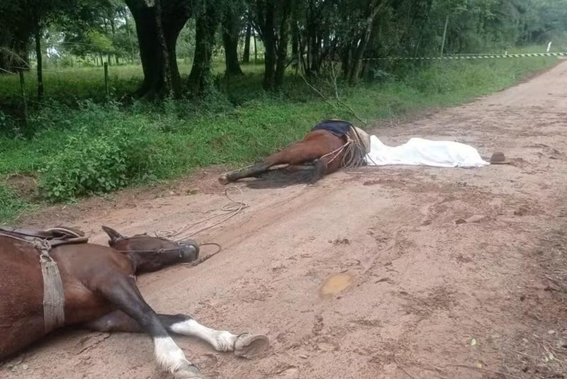 Homem e cavalos são encontrados mortos após suspeita de descarga elétrica em Bagé - Foto: Brigada Militar/Divulgação<!-- NICAID(15725621) -->