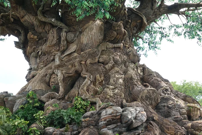 Joni / stock.adobe.com