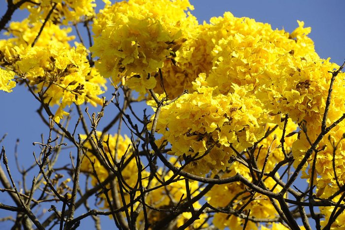 Daniela Xu / Agencia RBS