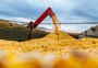 Depois da soja, milho pede passagem na rotação com arroz no Rio Grande do Sul