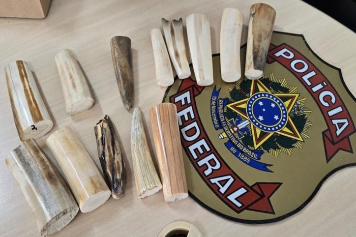 Polícia Federal / Divulgação