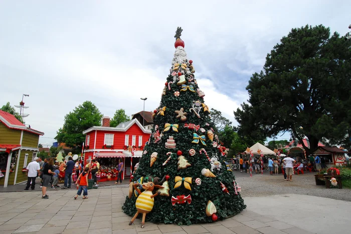 Carlos Edler / Agencia RBS