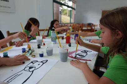 Acampamento da Criança com Diabetes em Passo Fundo<!-- NICAID(16166920) -->