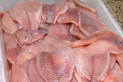 Mercados e piscicultores da região norte apostam em crescimento de vendas na Sexta-Feira SantaTilápia deve ser o pescado mais procurado por clientes. Peixaria da família de Nathalia Mattos Formighieri, em Passo Fundo: Foto: Jeferson Barbosa/RBSTV<!-- NICAID(15708289) -->