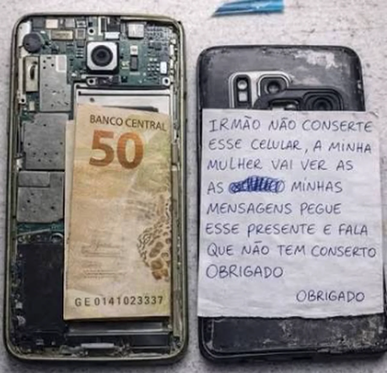 Reprodução