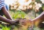 Dia da Terra: veja 10 dicas para ajudar a preservar o meio ambiente