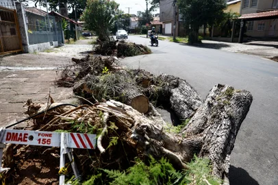 PORTO ALEGRE, RS, BRASIL - 2024.02.15 - Um mês após forte temporal que derrubou árvores e postes pela cidade, deixando milhares de pessoas sem luz ou água, o acúmulo de galhos e troncos ainda é visto pelas calçadas de vários bairros da capital. Na foto: Rua Dona Zulmira, bairro Cavalhada. (Foto: André Ávila/ Agência RBS)<!-- NICAID(15680617) -->