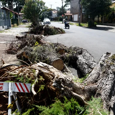 PORTO ALEGRE, RS, BRASIL - 2024.02.15 - Um mês após forte temporal que derrubou árvores e postes pela cidade, deixando milhares de pessoas sem luz ou água, o acúmulo de galhos e troncos ainda é visto pelas calçadas de vários bairros da capital. Na foto: Rua Dona Zulmira, bairro Cavalhada. (Foto: André Ávila/ Agência RBS)<!-- NICAID(15680617) -->