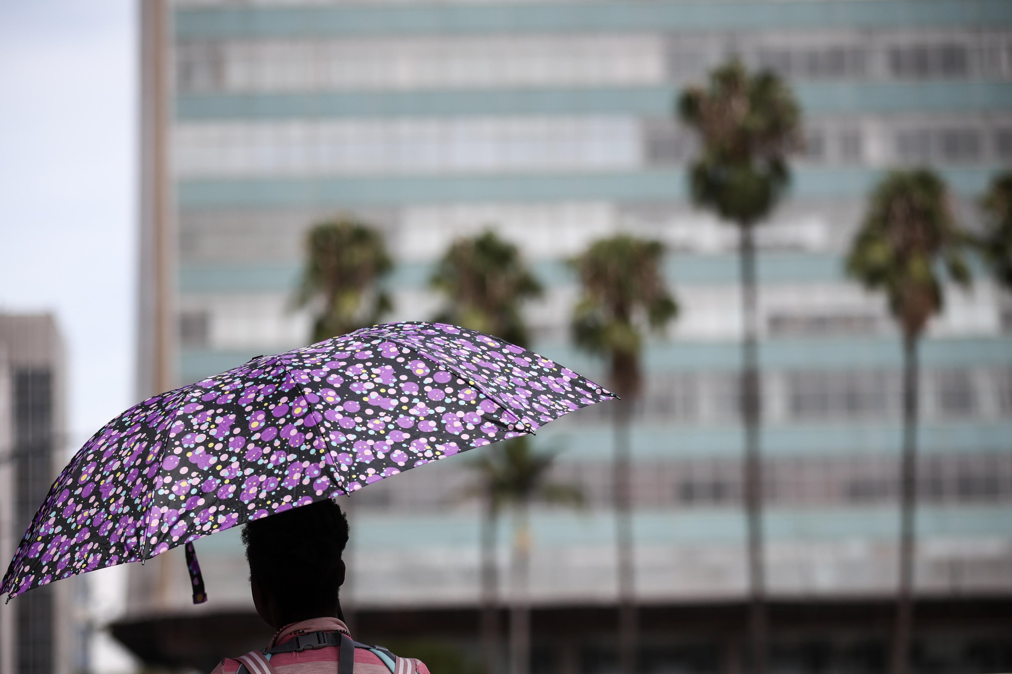 Sapucaia do Sul tem a maior temperatura do Brasil nesta quinta-feira