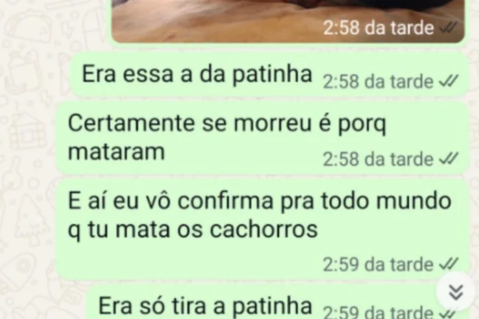 Divulgação / Divulgação Divulgação / Divulgação