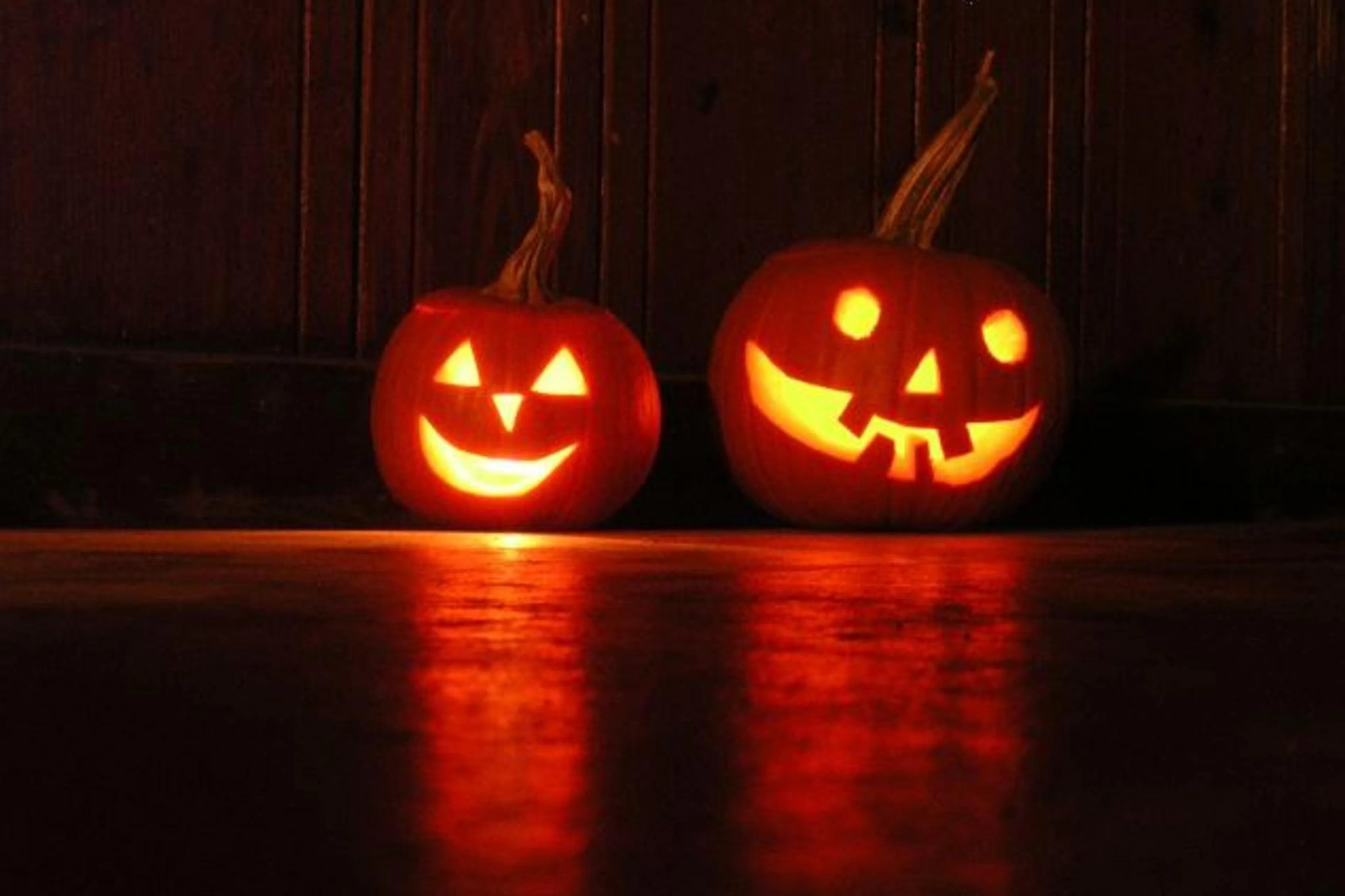 Divulgação/Divulgação