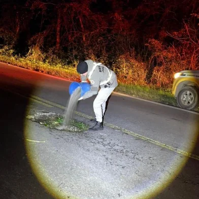 Policiais do Grupo Rodoviário de Nova Bassano realizaram um trabalho emergencial para tapar buracos na RS-324 nos últimos dias. O serviço foi realizado entre os quilômetros 285 e 291. A equipe decidiu fazer a operação após identificar trechos críticos na rodovia estadual, que ofereciam riscos à segurança e também danos aos veículos.<!-- NICAID(16081935) -->