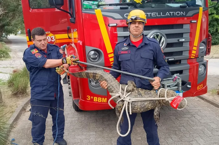 Divulgação / Corpo de Bombeiros de Pelotas