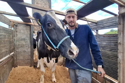 Chegada dos animais na Fenasul Expoleite<!-- NICAID(16035314) -->