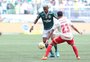 UFMG aponta que chance de título do Palmeiras aumentou mesmo com vitória do Inter