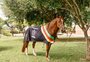 Cavalo Caramelo será homenageado no Jockey Club de Porto Alegre: "Representa a superação"