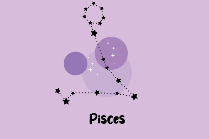 Alyona Polieva Raven / Shutterstock | Portal EdiCase