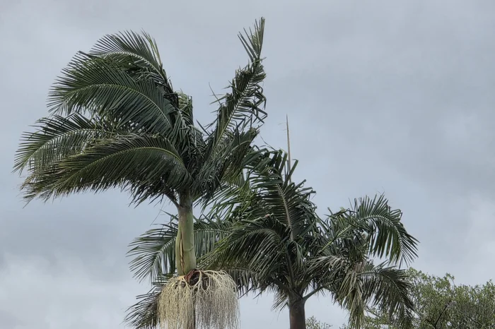 Gabriel Veríssimo / Grupo RBS