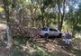 Caminhonete desce barranco do estacionamento da prefeitura de Caxias do Sul