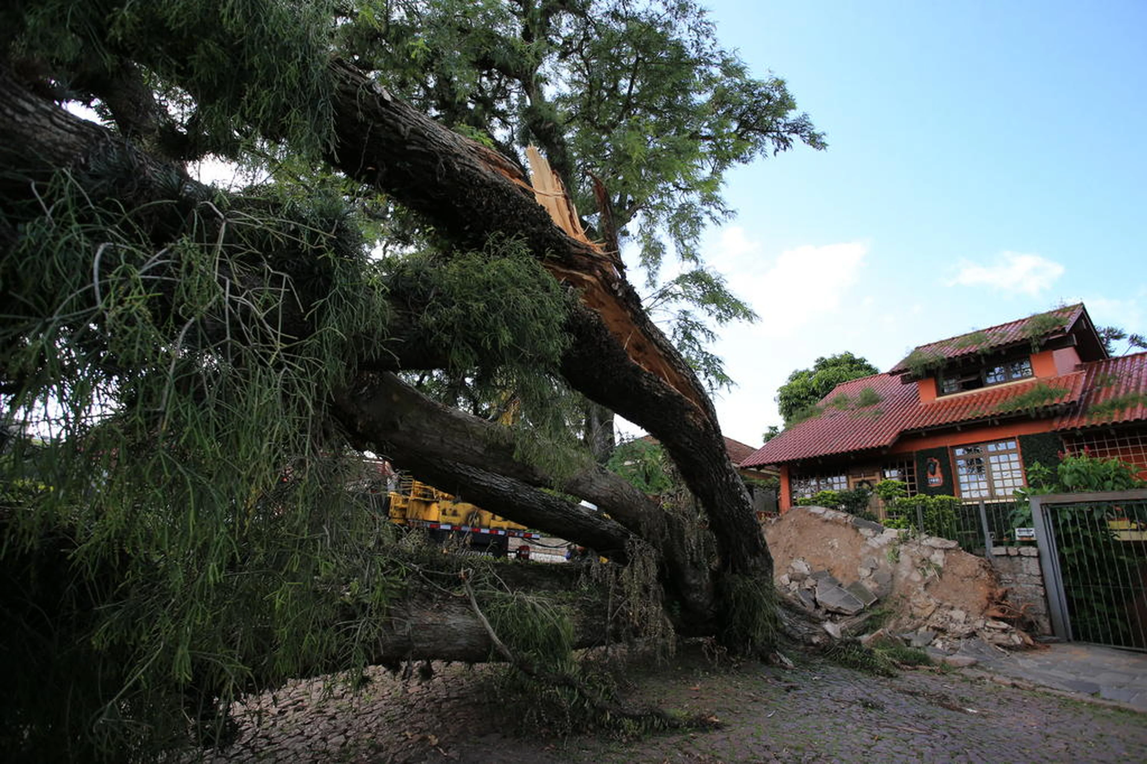 Ronaldo Bernardi/Agencia RBS