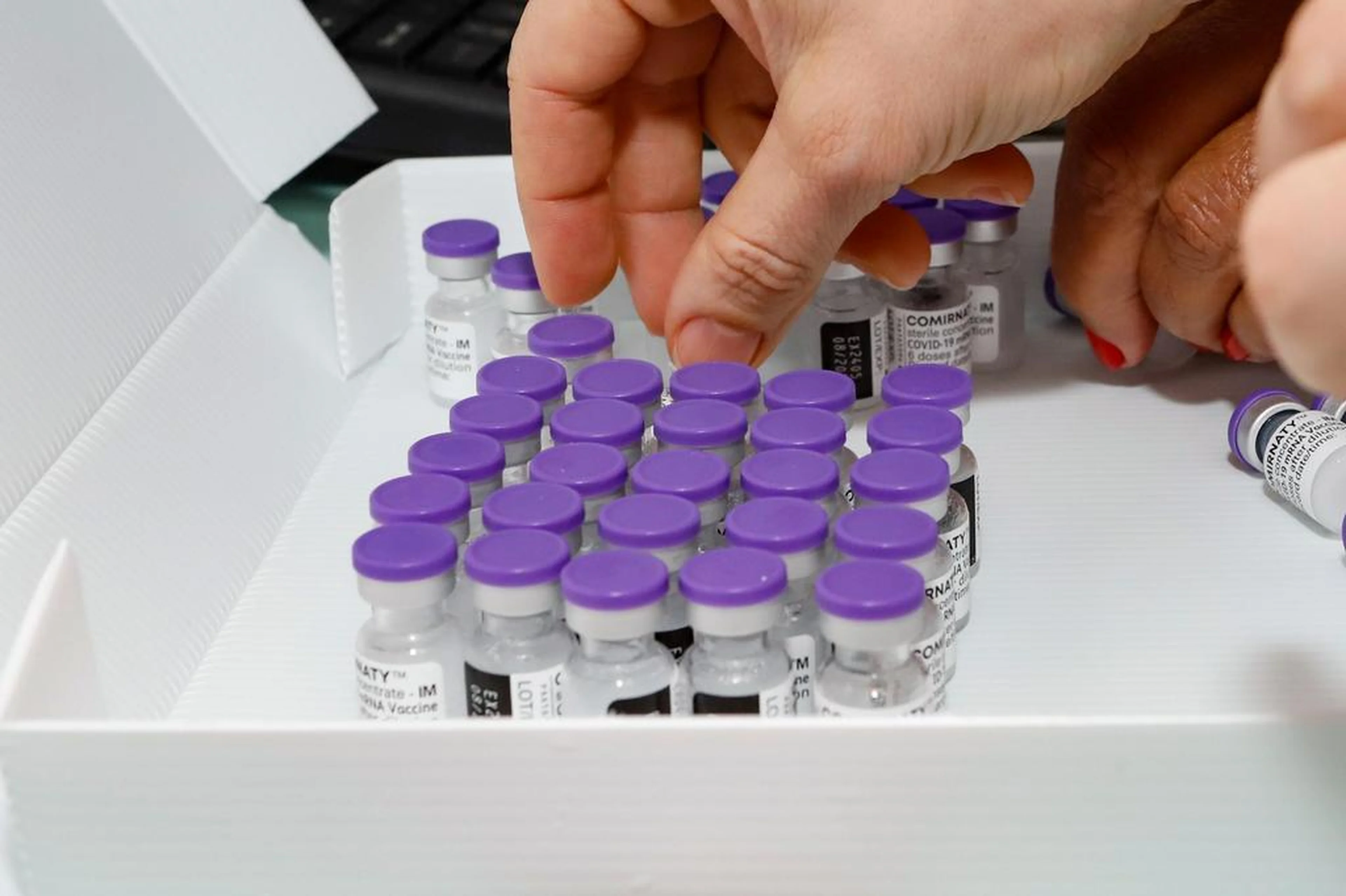 Cristine Rochol/PMPA/Divulgação