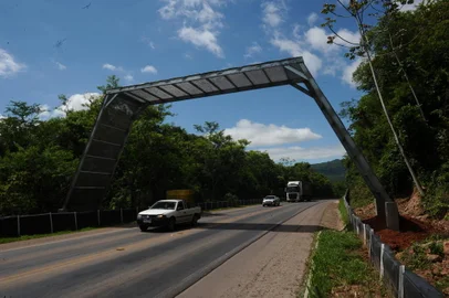 CAXIAS DO SUL, RS, BRASIL (17/12/2021)Reportagem percorre a rota do Sol entre Caxias do Sul e BR 101.  ERS 486 km 30. Pasarela para animais. (Antonio Valiente/Agência RBS)<!-- NICAID(14971095) -->