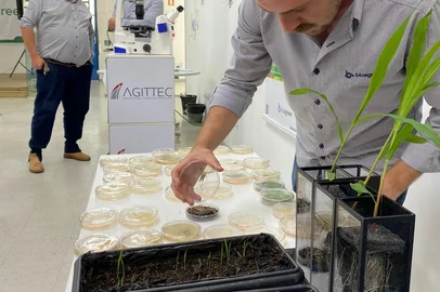 Técnico da Bioagreen prepara uma dinâmica de visualização do modo de ação dos microrganismos no controle de doenças, pragas e no desenvolvimento vegetal<!-- NICAID(15360894) -->
