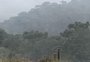 São José dos Ausentes registra primeira neve do ano no RS; ao menos outras três cidades têm chuva congelada nesta terça