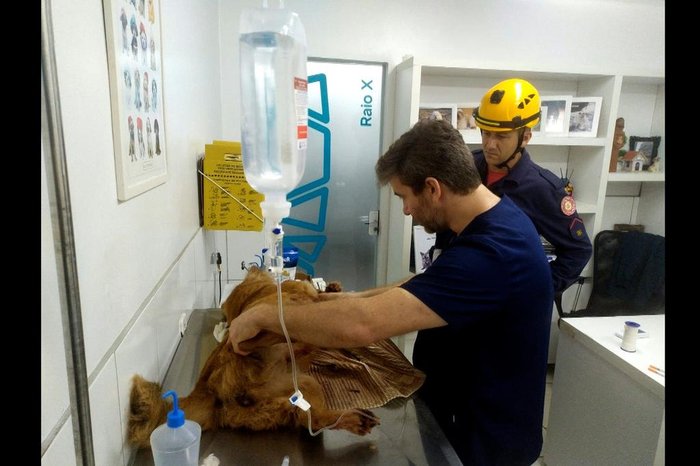 Corpo de Bombeiros / Divulgação Corpo de Bombeiros / Divulgação