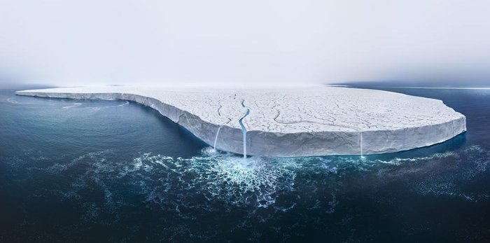 Thomas Vijayan / Wildlife Photographer of the Year / Divulgação